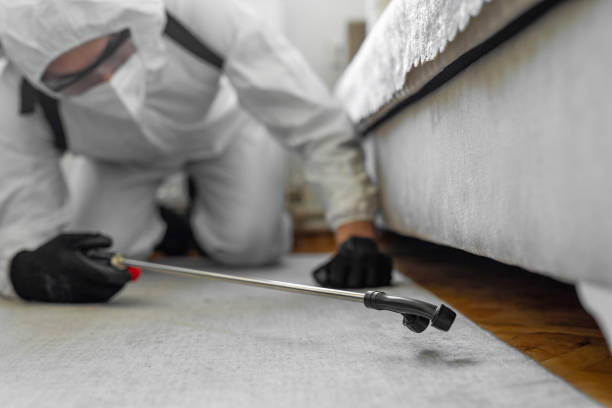 Professional Emergency Pest Control technician working in Cove Creek, NC