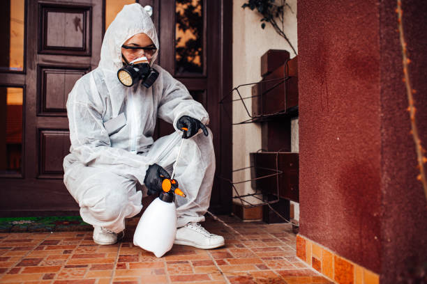 Reliable Emergency Pest Control contractor in Cove Creek, NC by Nex Pest Control